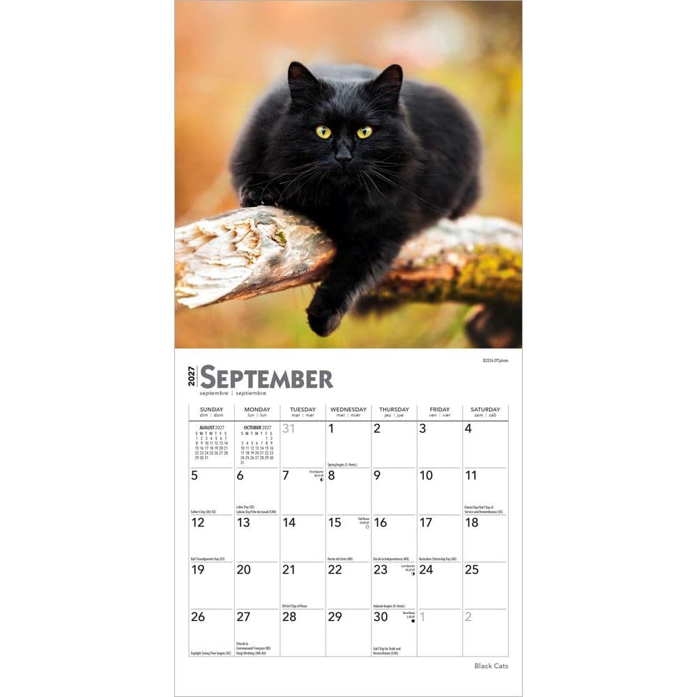 Black Cats 2027 Mini Wall Calendar Third Alternate Image