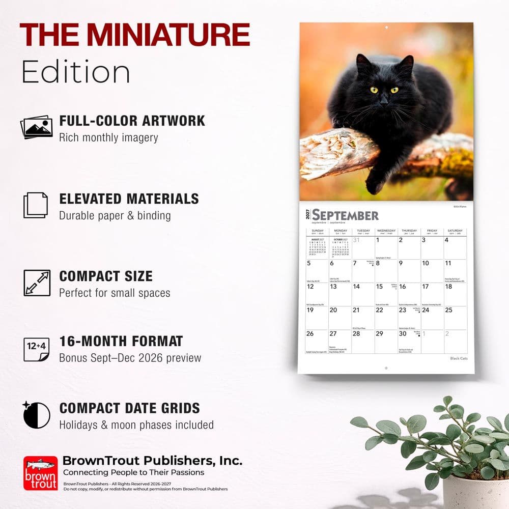 Black Cats 2027 Mini Wall Calendar Fifth Alternate Image