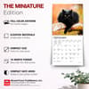 image Black Cats 2027 Mini Wall Calendar Fifth Alternate Image