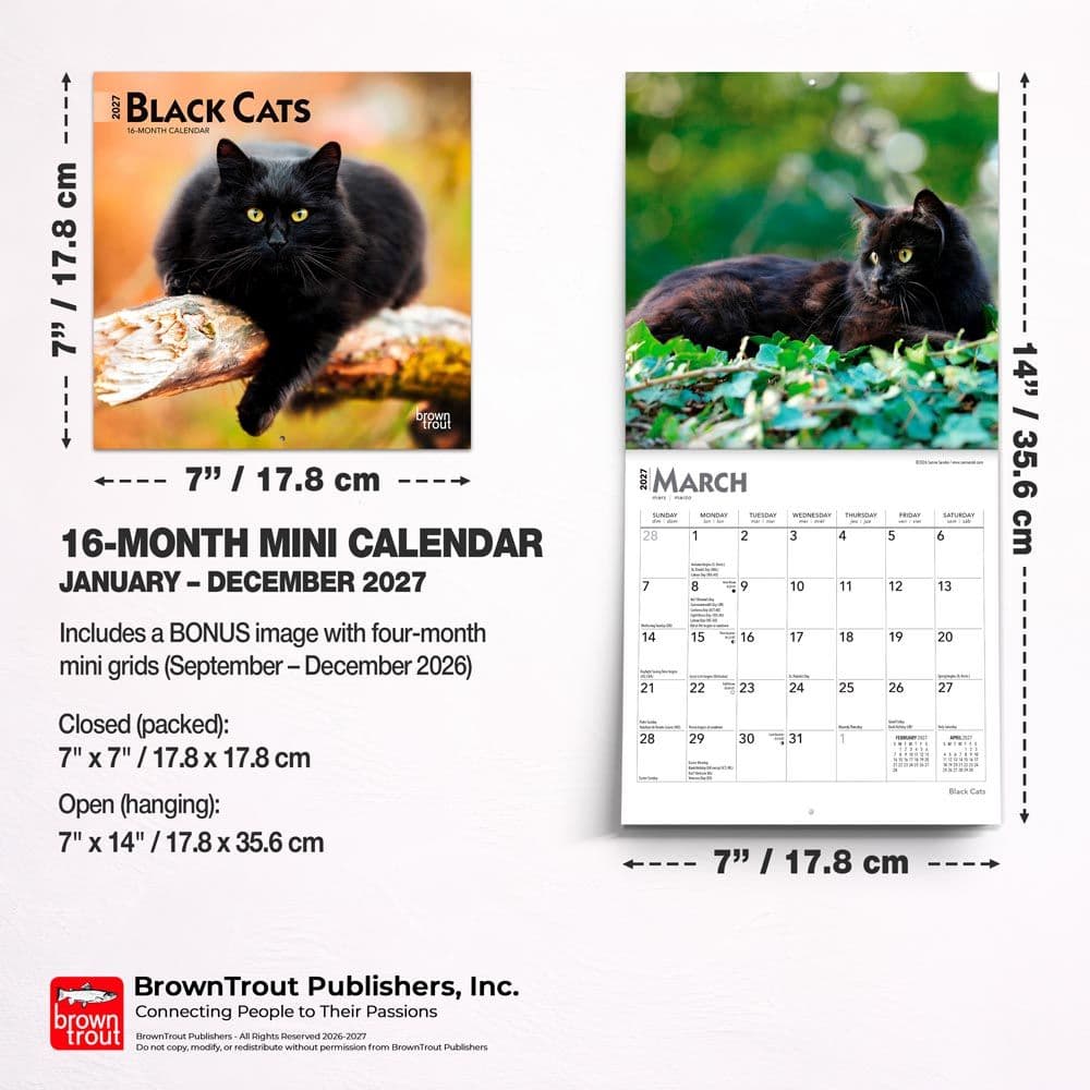 Black Cats 2027 Mini Wall Calendar Sixth Alternate Image