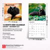 image Black Cats 2027 Mini Wall Calendar Sixth Alternate Image