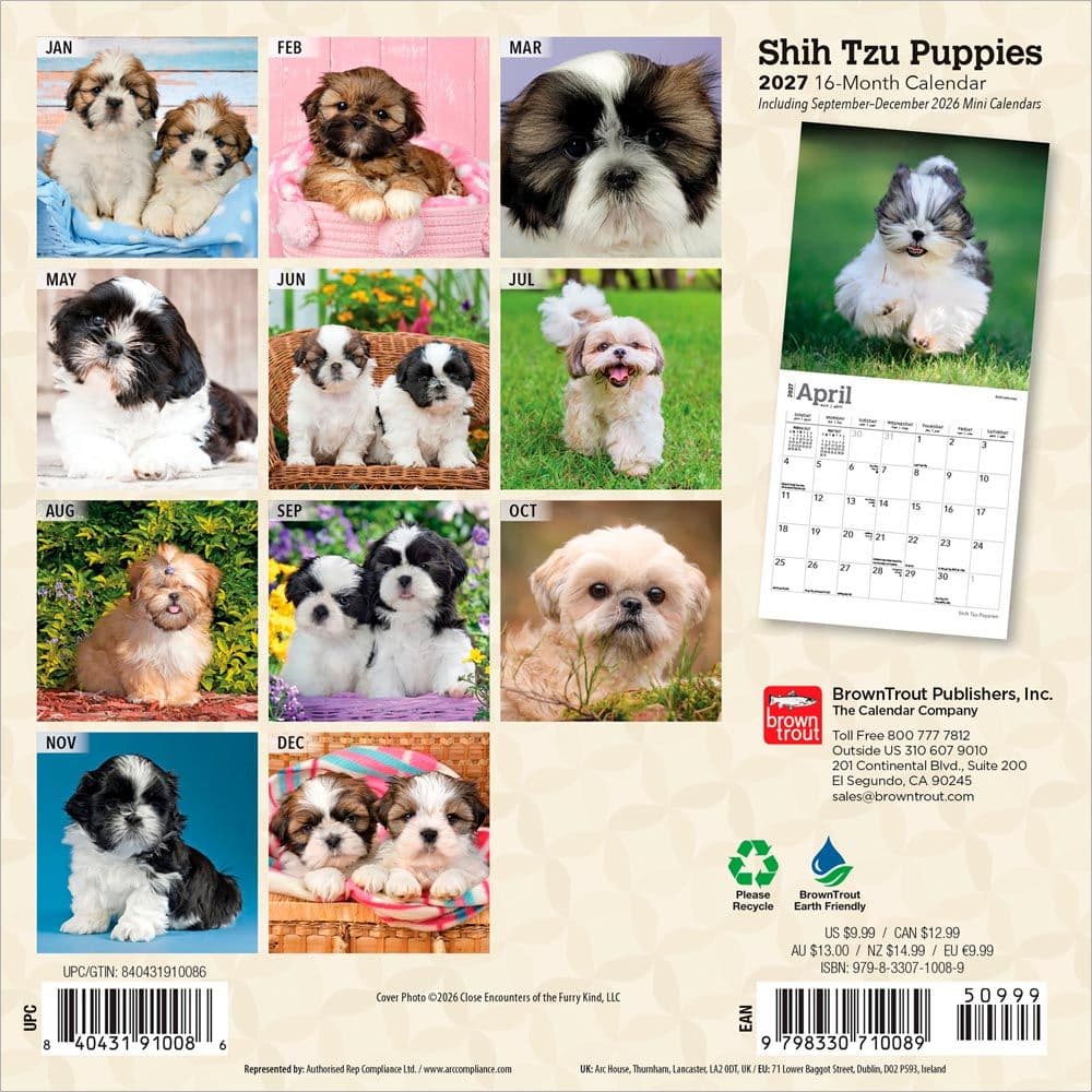 Shih Tzu Puppies 2027 Mini Wall Calendar First Alternate Image