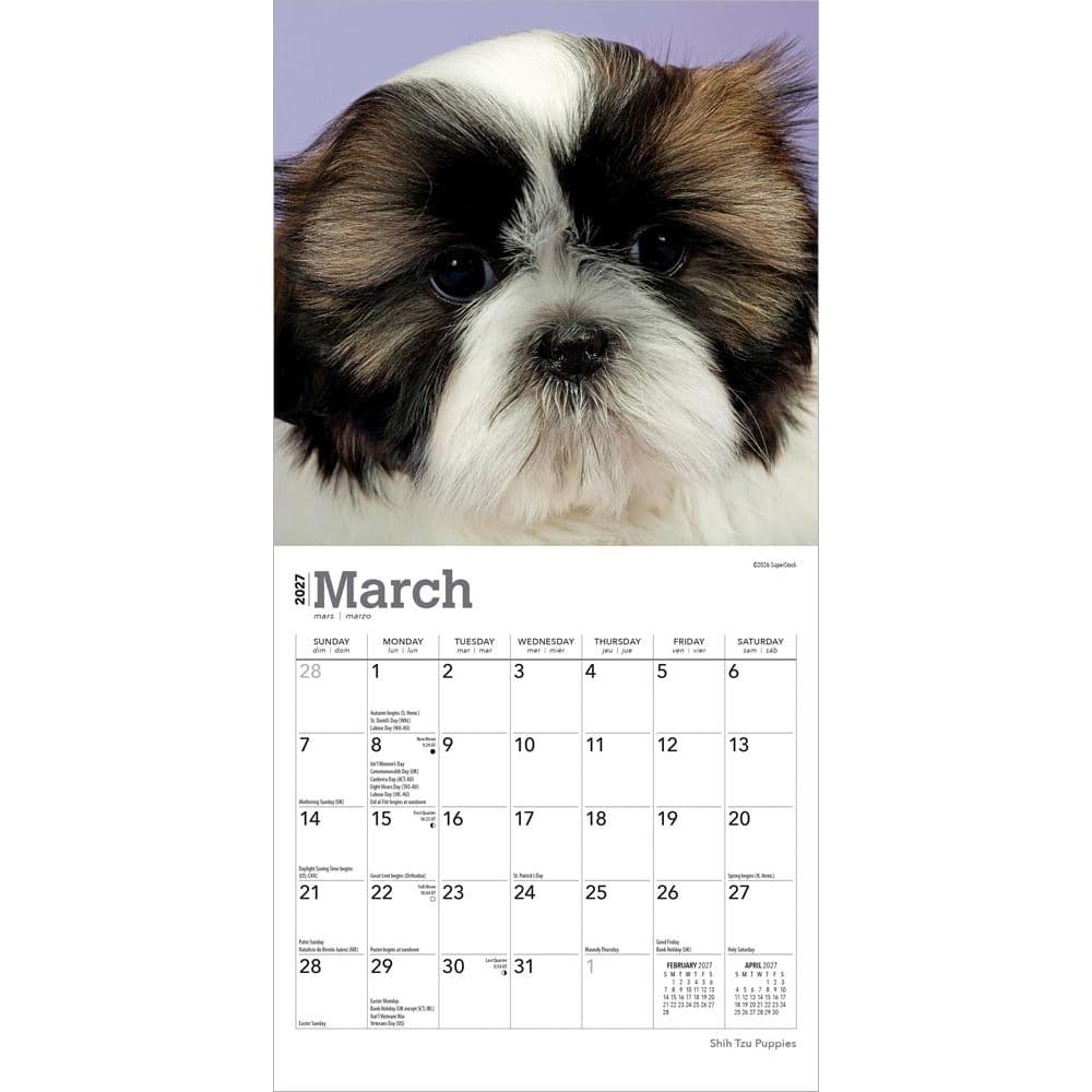 Shih Tzu Puppies 2027 Mini Wall Calendar Second Alternate Image