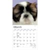 image Shih Tzu Puppies 2027 Mini Wall Calendar Second Alternate Image