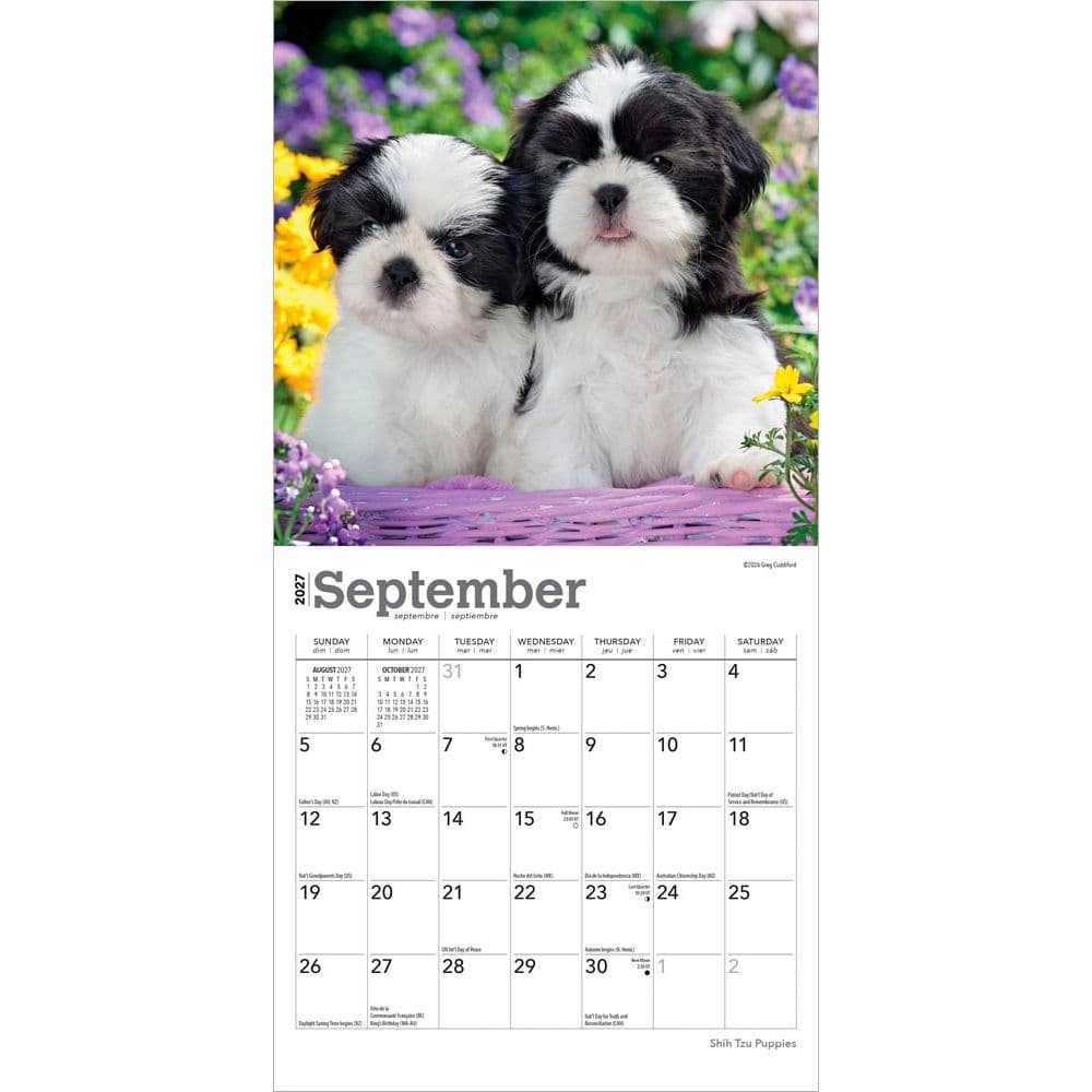 Shih Tzu Puppies 2027 Mini Wall Calendar Third Alternate Image