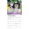 image Shih Tzu Puppies 2027 Mini Wall Calendar Third Alternate Image