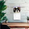 image Shih Tzu Puppies 2027 Mini Wall Calendar Fourth Alternate Image