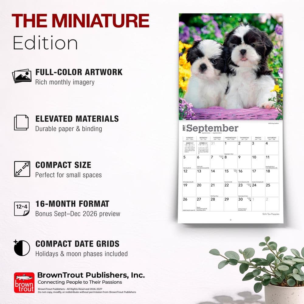 Shih Tzu Puppies 2027 Mini Wall Calendar Fifth Alternate Image