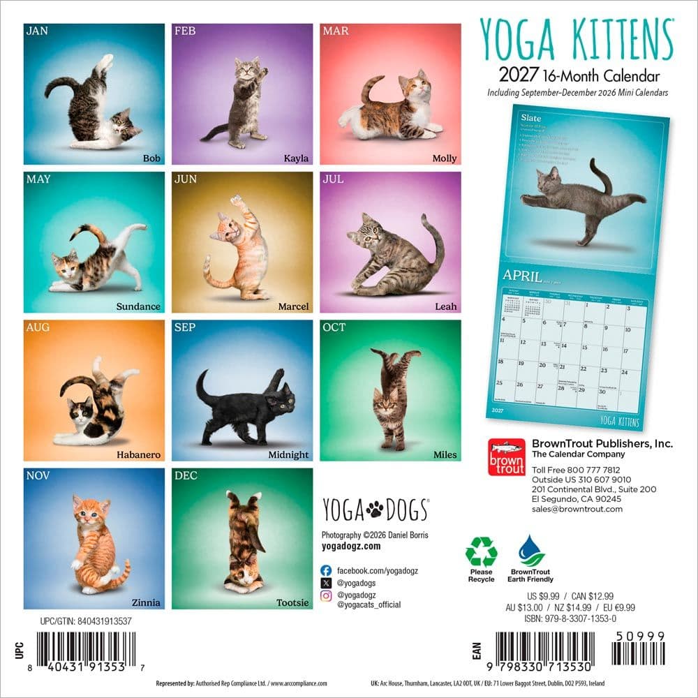 Yoga Kittens 2027 Mini Wall Calendar First Alternate Image