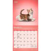 image Yoga Kittens 2027 Mini Wall Calendar Second Alternate Image