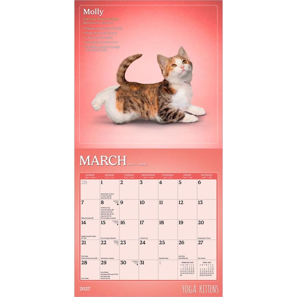 Yoga Kittens 2027 Mini Wall Calendar Second Alternate Image