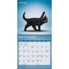 image Yoga Kittens 2027 Mini Wall Calendar Third Alternate Image