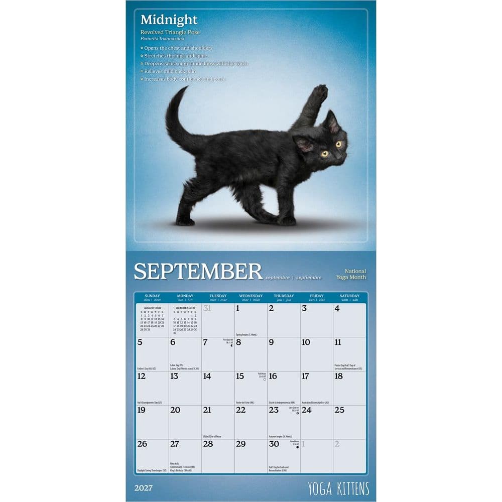 Yoga Kittens 2027 Mini Wall Calendar Third Alternate Image