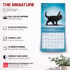 image Yoga Kittens 2027 Mini Wall Calendar Fifth Alternate Image