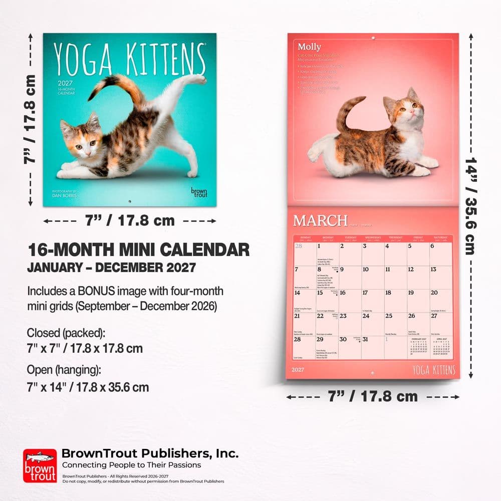 Yoga Kittens 2027 Mini Wall Calendar Sixth Alternate Image