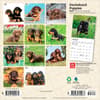 image Dachshund Puppies 2027 Mini Wall Calendar First Alternate Image