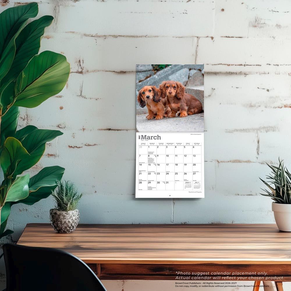 Dachshund Puppies 2027 Mini Wall Calendar Fourth Alternate Image