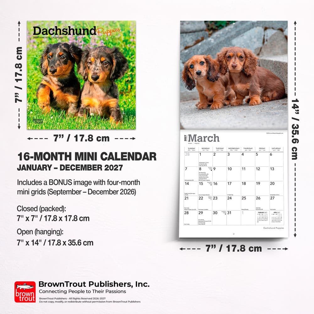 Dachshund Puppies 2027 Mini Wall Calendar Sixth Alternate Image