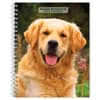 image Golden Retrievers 2027 Engagement Planner Main Product Image