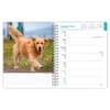 image Golden Retrievers 2027 Engagement Planner Second Alternate Image