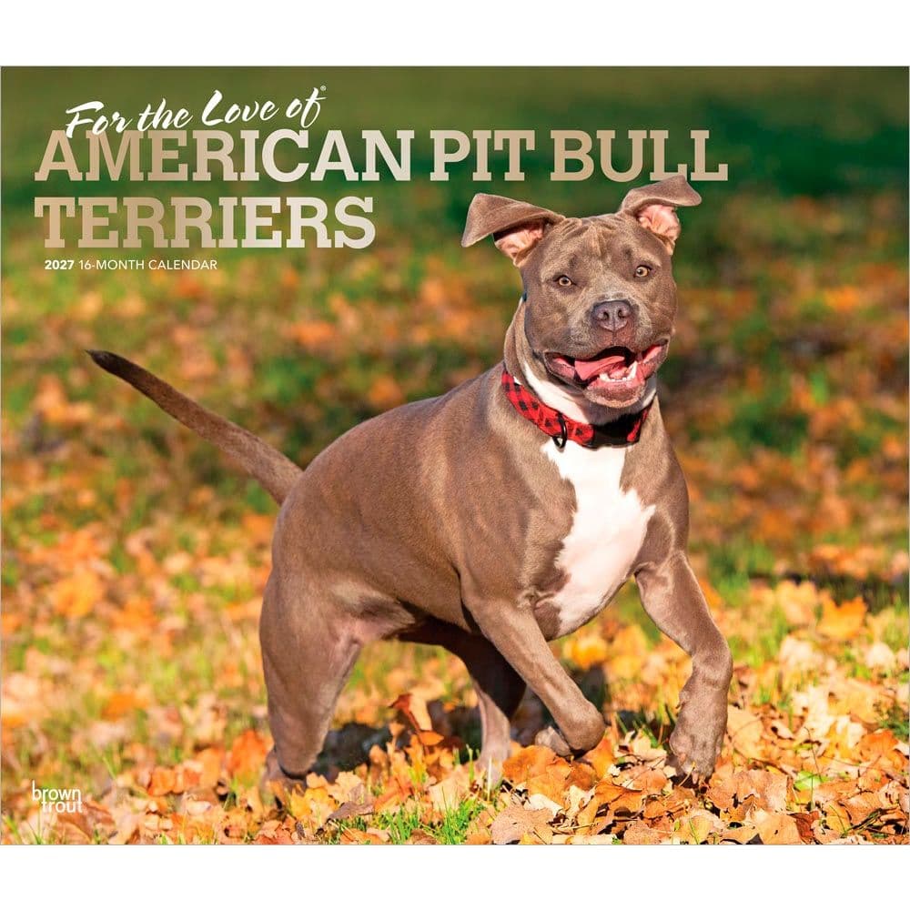 Pit Bull Terriers 2027 Deluxe Wall Calendar Main Product Image