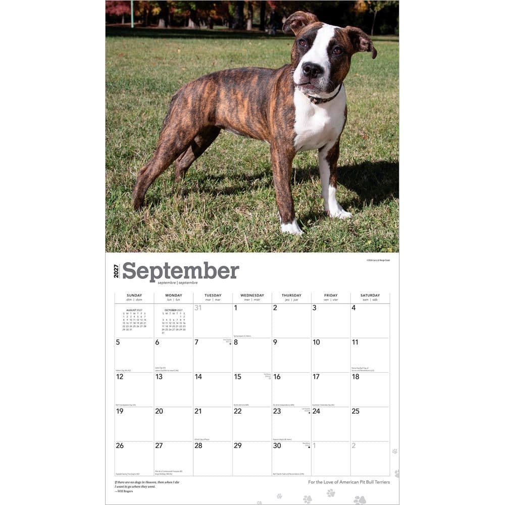 Pit Bull Terriers 2027 Deluxe Wall Calendar Third Alternate Image