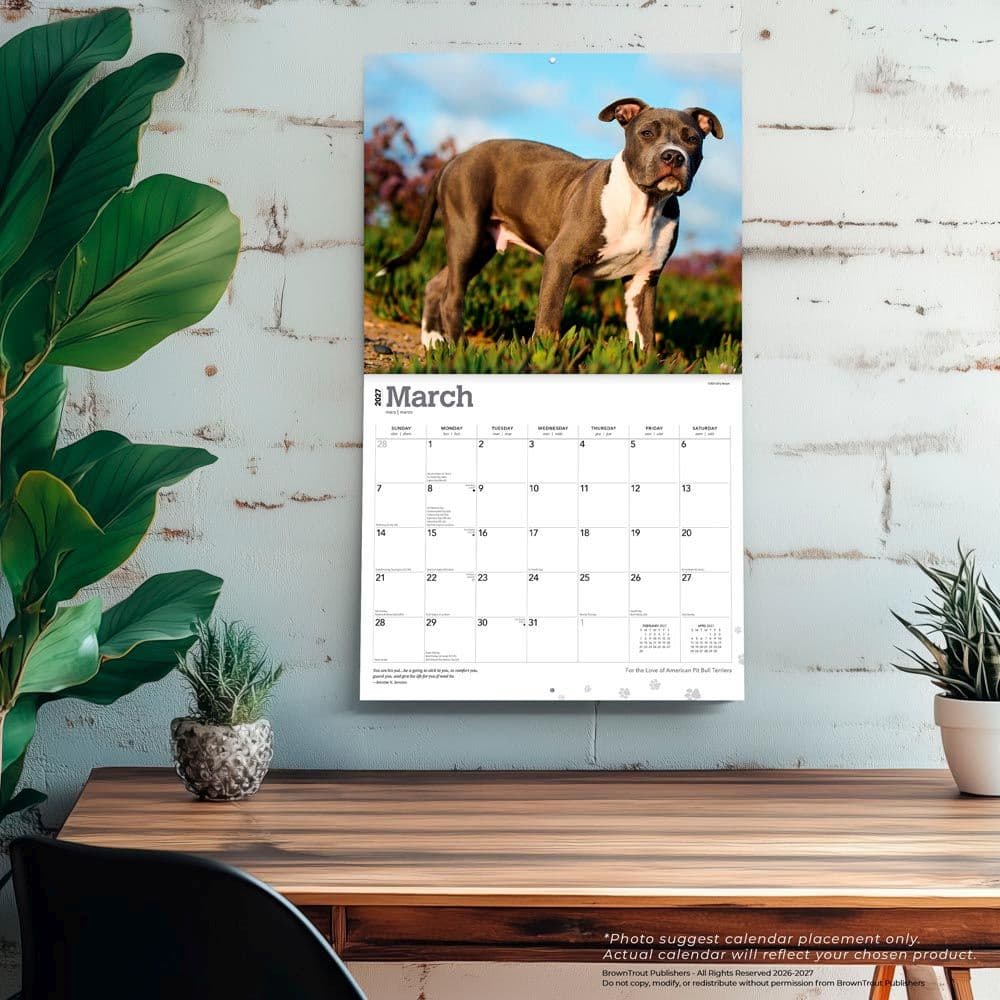 Pit Bull Terriers 2027 Deluxe Wall Calendar Fourth Alternate Image