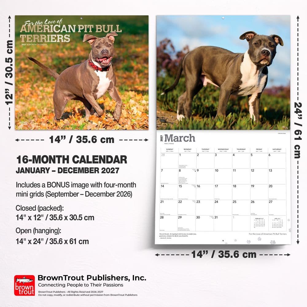 Pit Bull Terriers 2027 Deluxe Wall Calendar Sixth Alternate Image