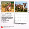 image Pit Bull Terriers 2027 Deluxe Wall Calendar Sixth Alternate Image