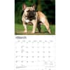 image For the Love of French Bulldogs 2027 Wall Calendar Second Alternate Image