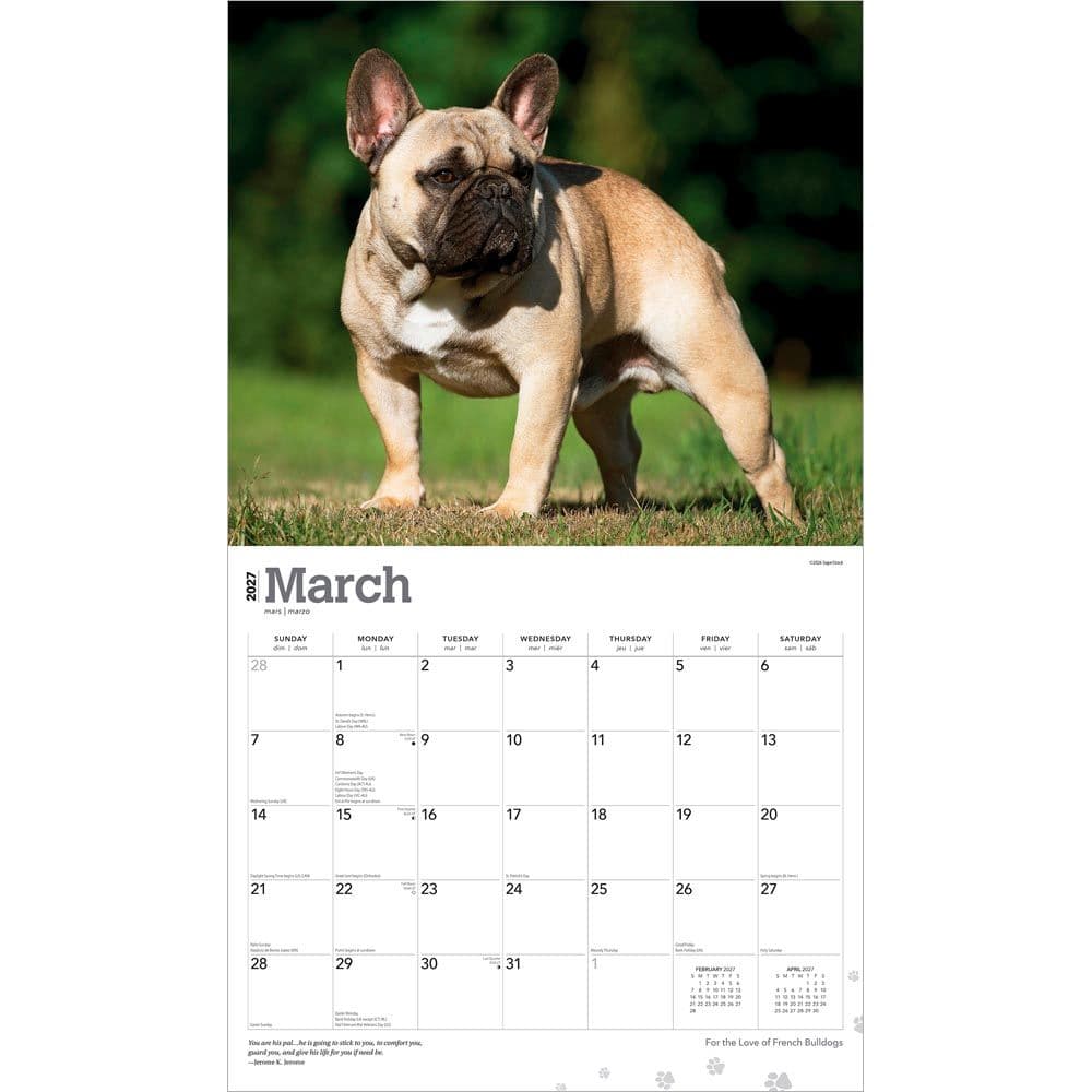 For the Love of French Bulldogs 2027 Wall Calendar Second Alternate Image