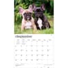 image For the Love of French Bulldogs 2027 Wall Calendar Third Alternate Image