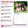 image For the Love of French Bulldogs 2027 Wall Calendar Fifth Alternate Image