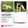 image For the Love of French Bulldogs 2027 Wall Calendar Sixth Alternate Image