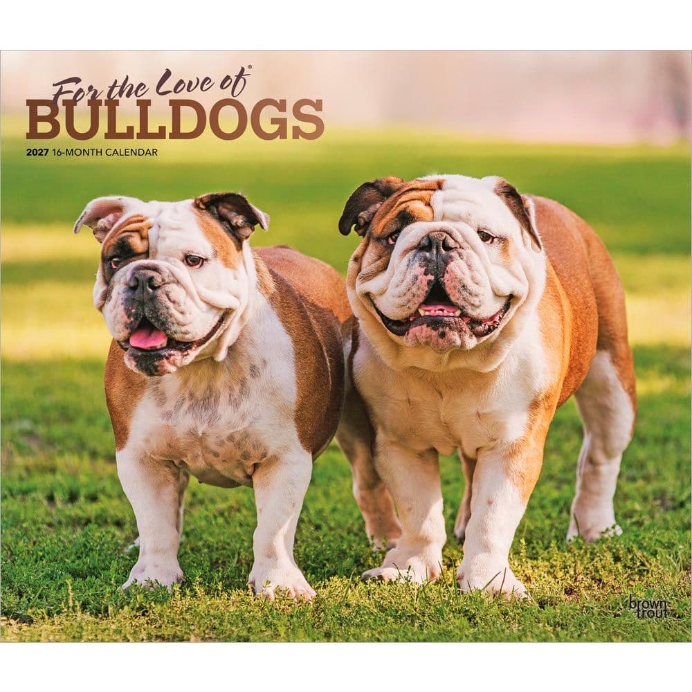 For the Love of Bulldogs 2027 Deluxe Wall Calendar