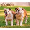 image Bulldogs 2027 Deluxe Wall Calendar Main Product Image