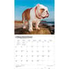 image Bulldogs 2027 Deluxe Wall Calendar Third Alternate Image