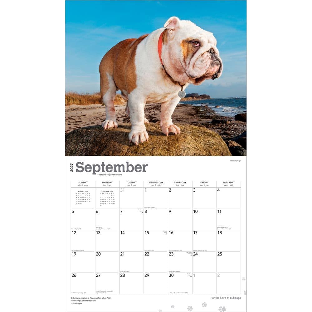 Bulldogs 2027 Deluxe Wall Calendar Third Alternate Image