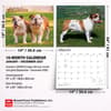 image Bulldogs 2027 Deluxe Wall Calendar Sixth Alternate Image