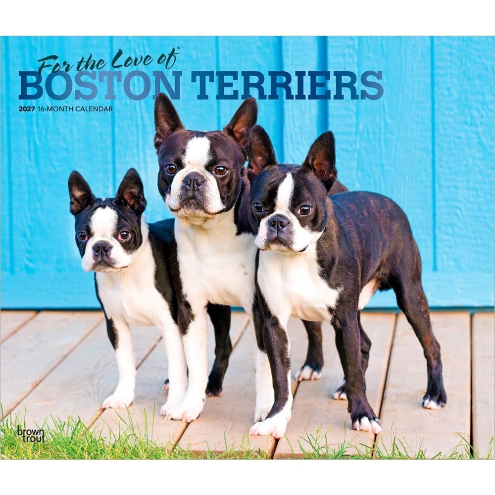 Boston Terriers 2027 Deluxe Wall Calendar Main Product Image