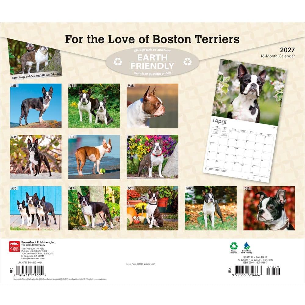 Boston Terriers 2027 Deluxe Wall Calendar First Alternate Image