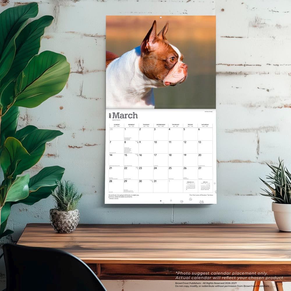 Boston Terriers 2027 Deluxe Wall Calendar Fourth Alternate Image