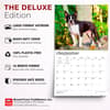 image Boston Terriers 2027 Deluxe Wall Calendar Fifth Alternate Image