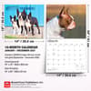 image Boston Terriers 2027 Deluxe Wall Calendar Sixth Alternate Image