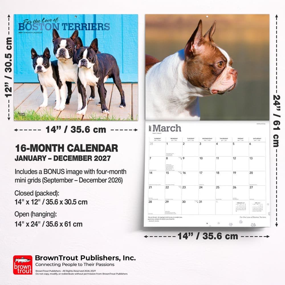 Boston Terriers 2027 Deluxe Wall Calendar Sixth Alternate Image