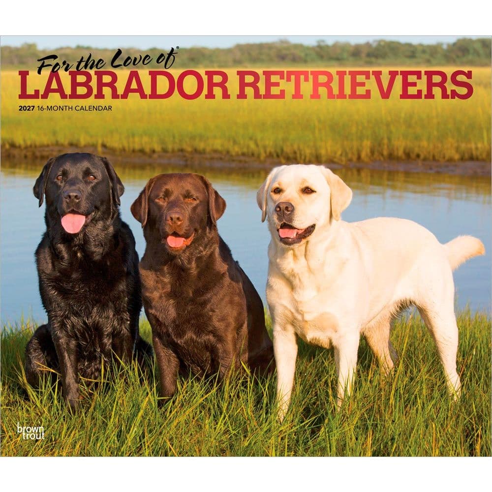 Lab Retrievers 2027 Deluxe Wall Calendar Main Product Image