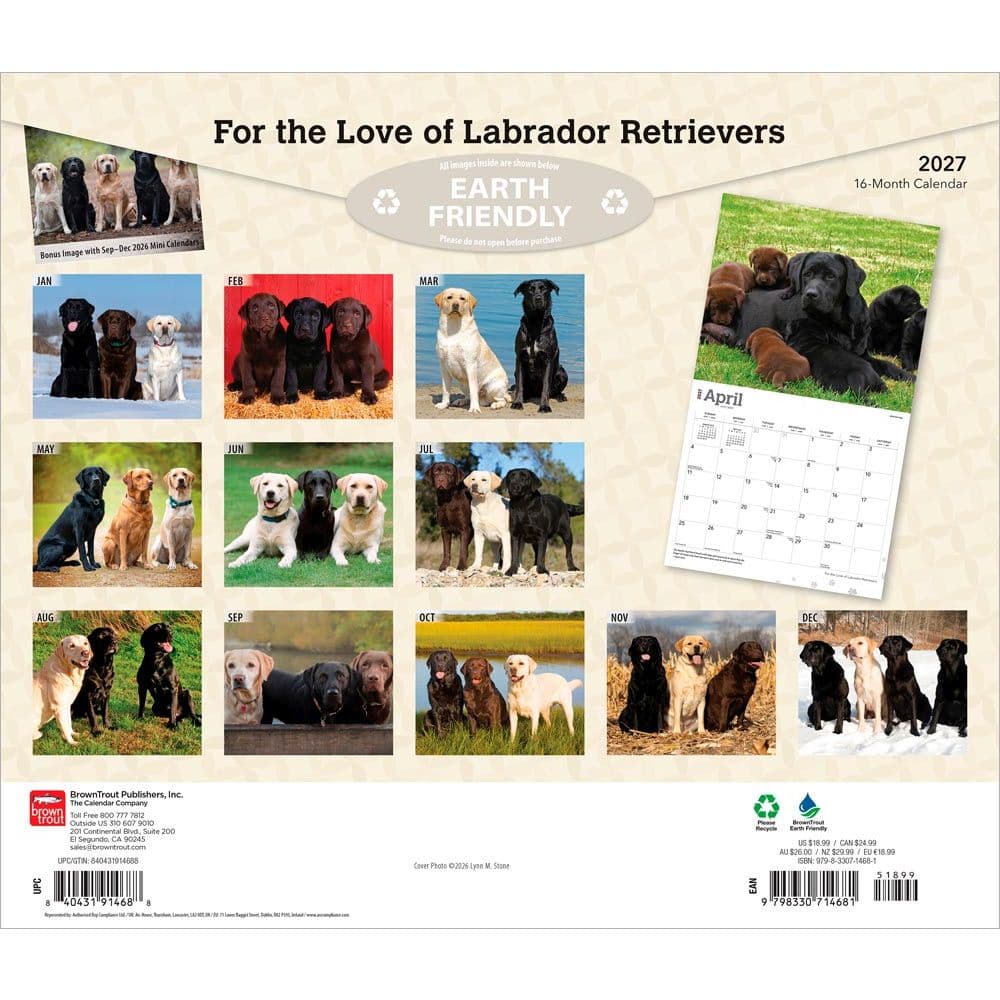 Lab Retrievers 2027 Deluxe Wall Calendar First Alternate Image