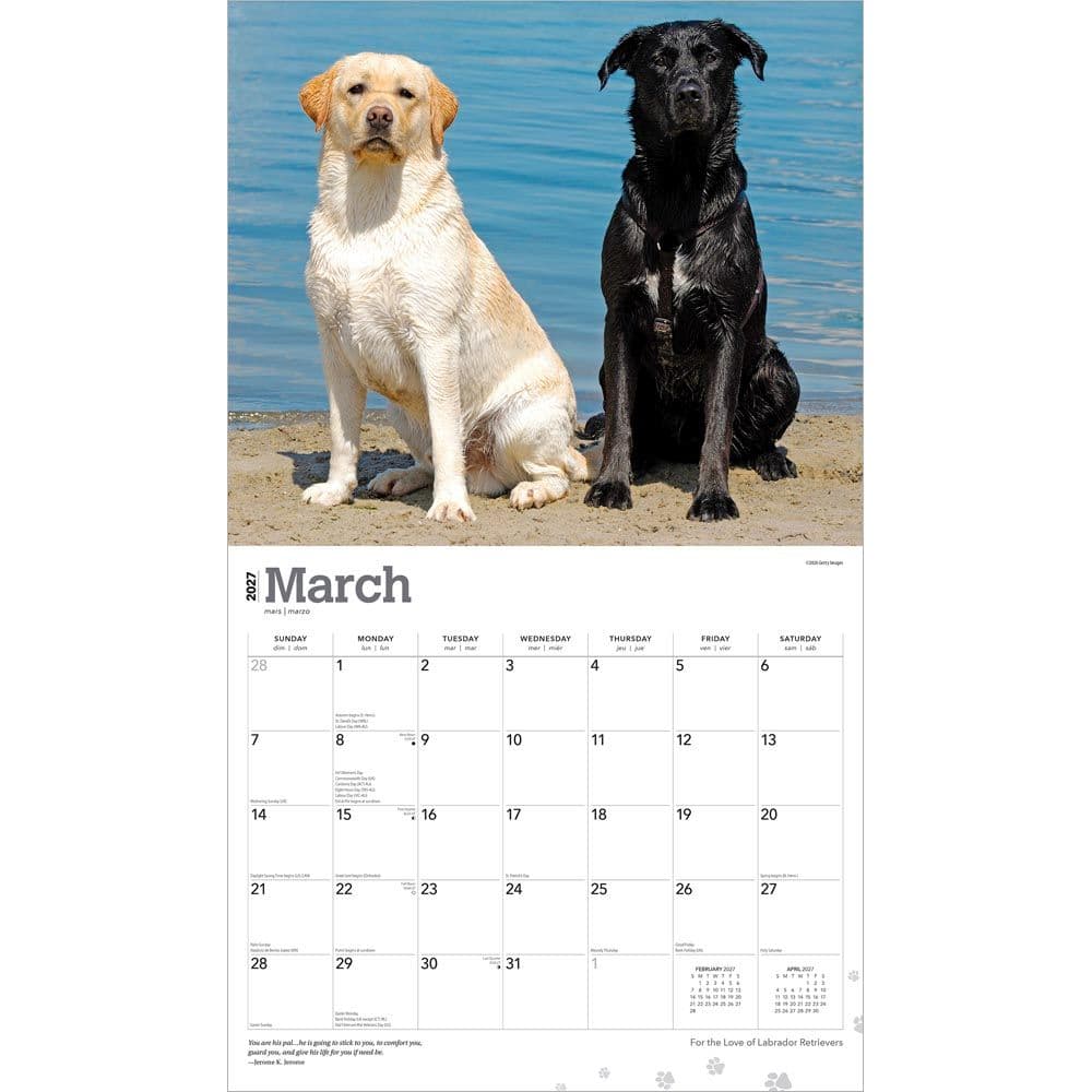 Lab Retrievers 2027 Deluxe Wall Calendar Second Alternate Image
