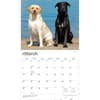 image Lab Retrievers 2027 Deluxe Wall Calendar Second Alternate Image