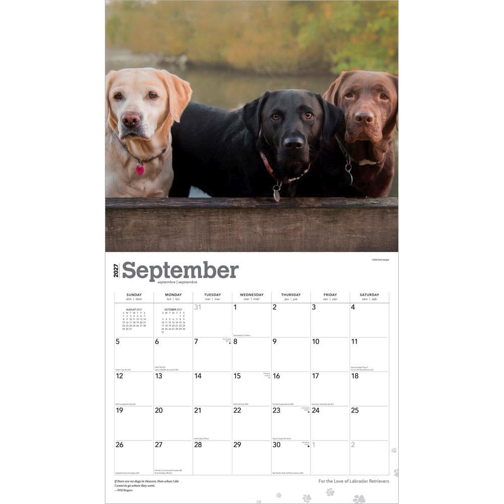 Lab Retrievers 2027 Deluxe Wall Calendar Third Alternate Image